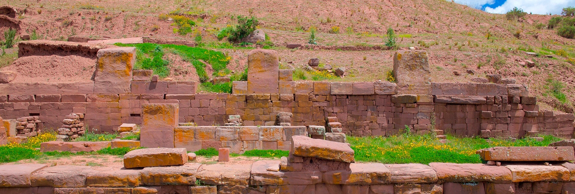 Tiwanacu Pre-Inka Culture (H/D)