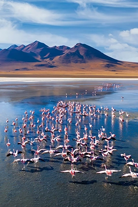 Bolivia
